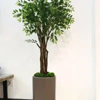 درختچه مصنوعی اقاقیا ، بامبو ، پولیشیاس درخت گل|گل مصنوعی|تهران, قصر فیروزه ۱|دیوار