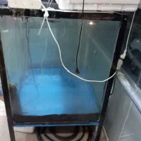 اکاریوم بزرگ ماهی