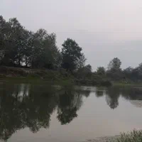 فروش زمین ۱۱۰۰ متری در کیاشهر(بحر اصلی نبی دهکاء)|فروش زمین و ملک کلنگی|کیاشهر, |دیوار