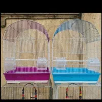 ففس میناعروس هلندی طوطی برزیلی پرنده کاسکوگرینچیک|لوازم جانبی حیوانات|تهران, جیحون|دیوار