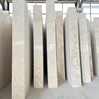 انواع سنگ نما نما سنگ ۲۴ تا ۳۶ ماهه