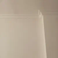 گچکاری ولکه گیری