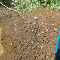 بورس شن ماسه نیسانی حسین نوروزی