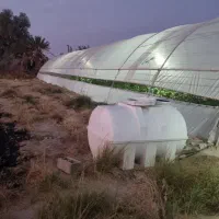 فروش گلخانه|خدمات باغبانی و درختکاری|زهک, |دیوار