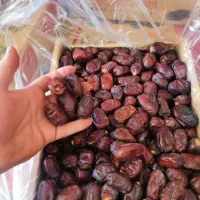 خرما|خوردنی و آشامیدنی|کرمانشاه, |دیوار