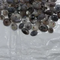 سنگ شجر..۱۰۲عدد