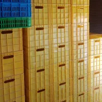 سبد پلاستیکی|فروشگاه و مغازه|شاهدشهر, |دیوار