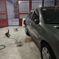 پولیش واکس . تخصصی