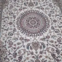 فرش پادری|پادری|تهران, خواجه نصیر طوسی|دیوار