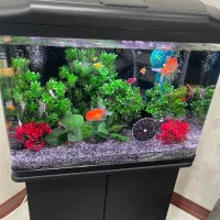 فروش آکواریوم با پایه با تجهیزات کامل قیمت توافقی