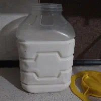 شیر بز محلی