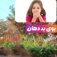 تول گیری پیشوا|خدمات آرایشگری و زیبایی|پیشوا, |دیوار