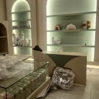 برقکار، برق لاین، برقکاری