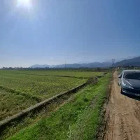 قطعه زمین املاک لوندویل|فروش زمین و ملک کلنگی|لوندویل, |دیوار