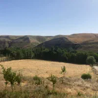 فروش زمین دارای آب چاه