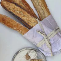 فرصت شغلی در نان فانتزی