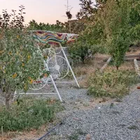 باغ انگور|فروش دفتر صنعتی، کشاورزی، تجاری|ارومیه, |دیوار