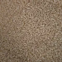 برنج نیم دانه زیغمی شیروان