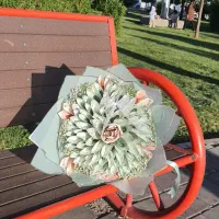 آف روز مادر،پول آرایی شیک و فانتزی