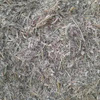 خریدار کاه لوبیا|خدمات باغبانی و درختکاری|دهگلان, |دیوار