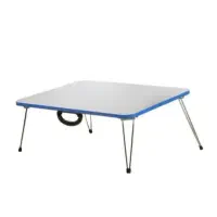 میزتحریرتاشو|لوازم التحریر|اصفهان, نقش جهان|دیوار