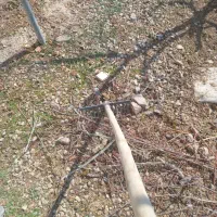 نظافت منزل .وباغ|خدمات نظافت|ورامین, ورامین|دیوار