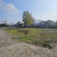 چندقواره ملک۱۵۰متری بافت آماده ساخت+سندتکبرگ/بهدشت|فروش زمین و ملک کلنگی|آمل, |دیوار