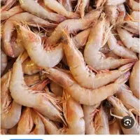 کارگر شرکت میگو