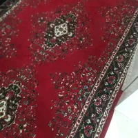 کناره زرشکی|فرش|مشهد, طلاب|دیوار