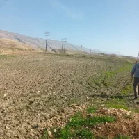 زمین-کشاورزی-در-هفت-چشمه