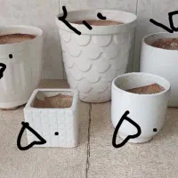 گلدان سرامیکی با اندازه های مختلف