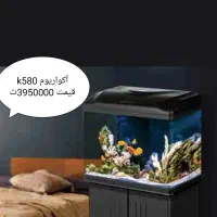 انواع آکواریوم شرکتی دلسا به قیمت کارخانه