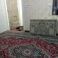 اجاره روزانه/هفتگی/سوئیت دربست تک واحدی در اندیشه|اجارهٔ کوتاه‌مدت آپارتمان و سوئیت|اندیشه, اندیشه فاز ۱|دیوار