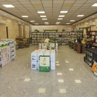 فروش ویژه چالکود زمستانه تا ۲۰ ٪ تخفیف|خدمات باغبانی و درختکاری|نجفآباد, جعفرآباد|دیوار