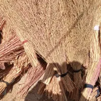 جارو دانه ۵۰ هزار