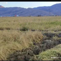 کارگرم جورایی کار هستم