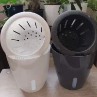 گلدان هیدروپونیک|گل و گیاه طبیعی|آمل, |دیوار