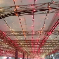 زمین قلفتی/ بر اصلی/ 156 متر مربع /بر6/20