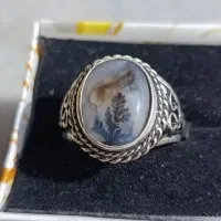 انگشتر شجر تک درخت