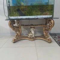 آکواریوم و ماهی اسکار