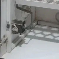 فنچ  جفت  با دوتا جوجه بدون قفس