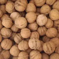 خشکبار  گردو بادام و...|خوردنی و آشامیدنی|تهران, شهرک آزادی|دیوار