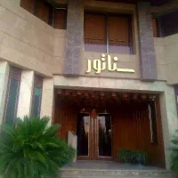 فقط سناتور تمیزکارفوری