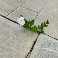 جویای کار اداری و حقوقی