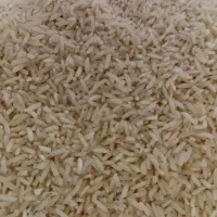 برنج سرلاشه طارم درجه یک