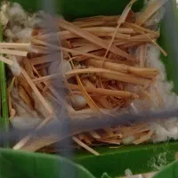 فنج بنگالی 500|پرنده|قرچک, زیبا شهر|دیوار