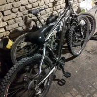 فروش 2 عدد