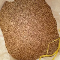 گندم|خوردنی و آشامیدنی|شیراز, عادل آباد|دیوار