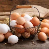 تخم مرغ
