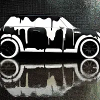 نیروی کار کارواش